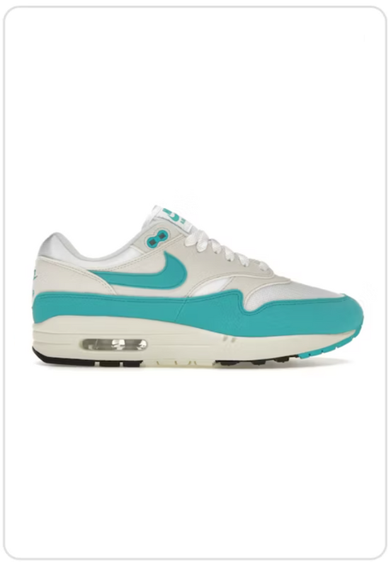 Nike Air Max 1 Dusty Cactus